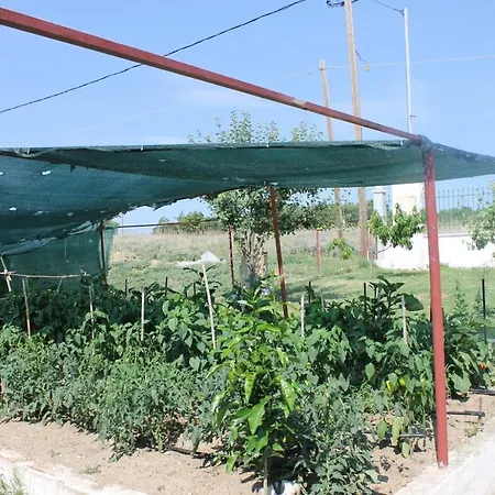 Willa Farm