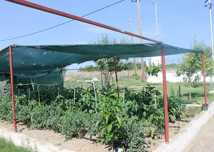 וילה Farm